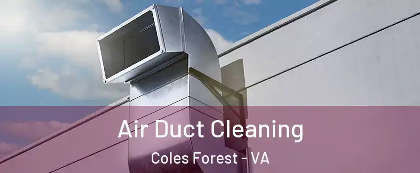 Air Duct Cleaning Coles Forest - VA