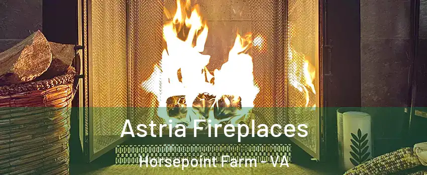 Astria Fireplaces Horsepoint Farm - VA