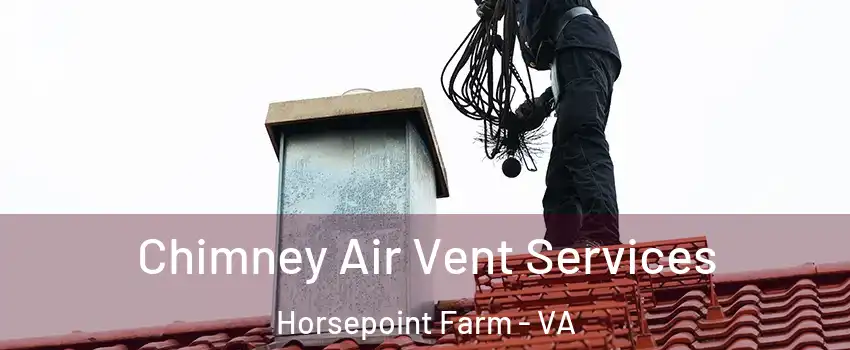 Chimney Air Vent Services Horsepoint Farm - VA