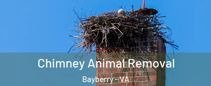 Chimney Animal Removal Bayberry - VA