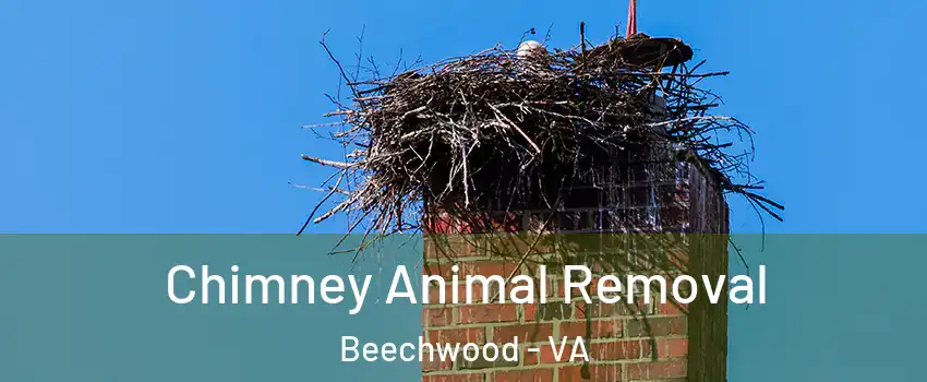 Chimney Animal Removal Beechwood - VA