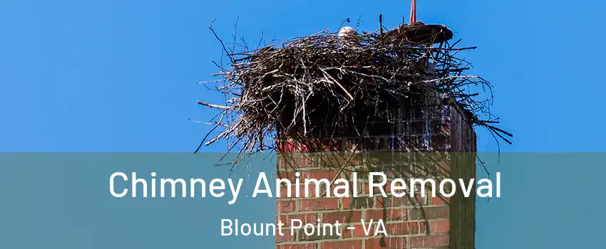 Chimney Animal Removal Blount Point - VA