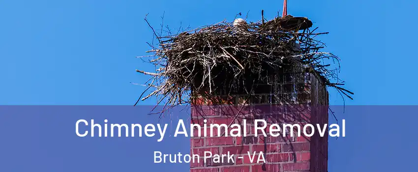 Chimney Animal Removal Bruton Park - VA