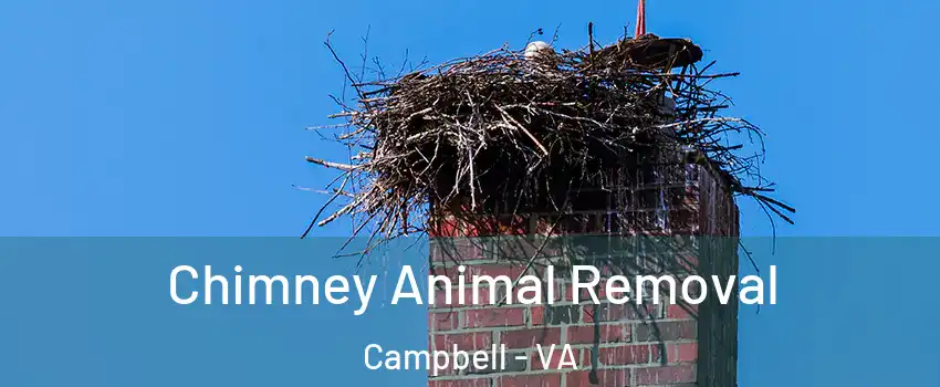 Chimney Animal Removal Campbell - VA