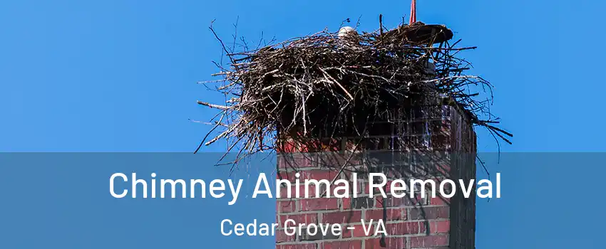 Chimney Animal Removal Cedar Grove - VA