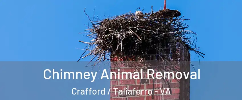 Chimney Animal Removal Crafford / Taliaferro - VA