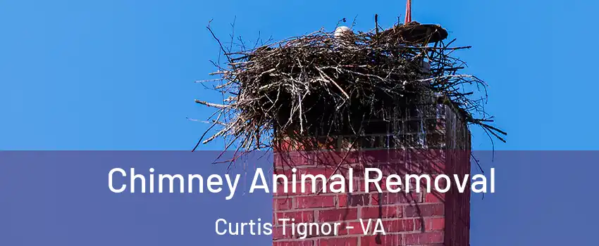 Chimney Animal Removal Curtis Tignor - VA