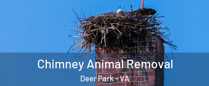 Chimney Animal Removal Deer Park - VA