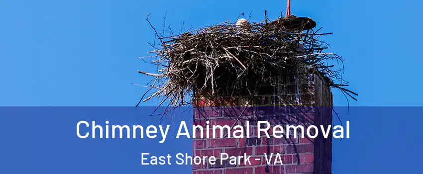 Chimney Animal Removal East Shore Park - VA