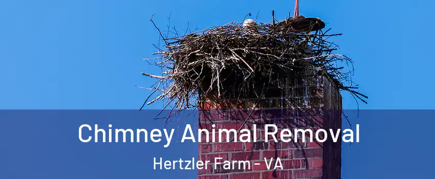 Chimney Animal Removal Hertzler Farm - VA