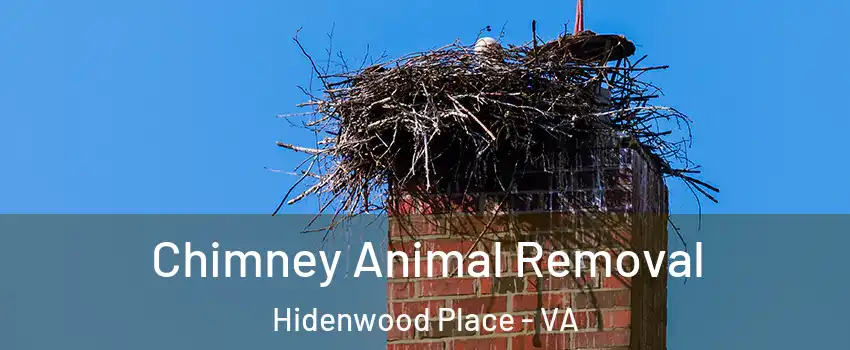 Chimney Animal Removal Hidenwood Place - VA