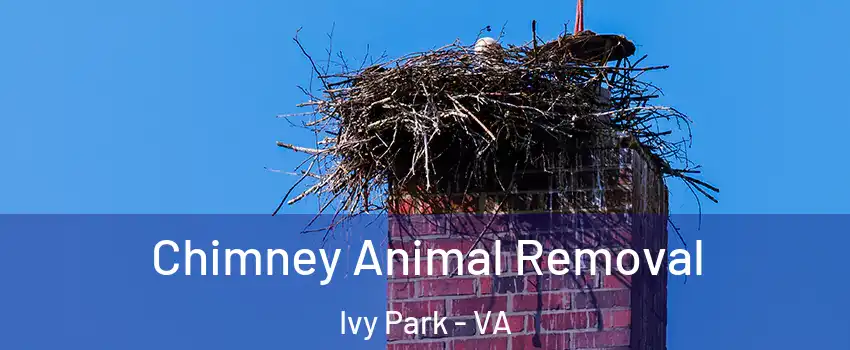 Chimney Animal Removal Ivy Park - VA