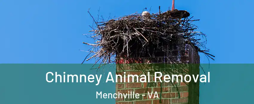 Chimney Animal Removal Menchville - VA