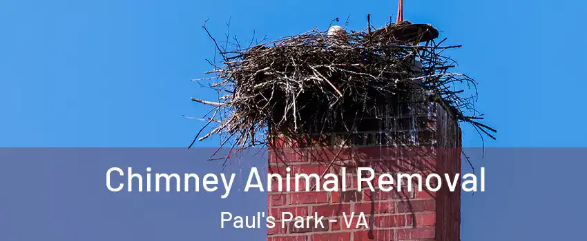 Chimney Animal Removal Paul's Park - VA