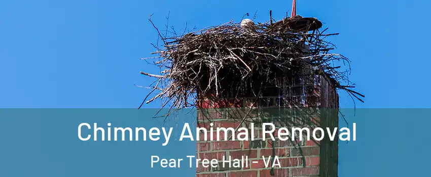 Chimney Animal Removal Pear Tree Hall - VA