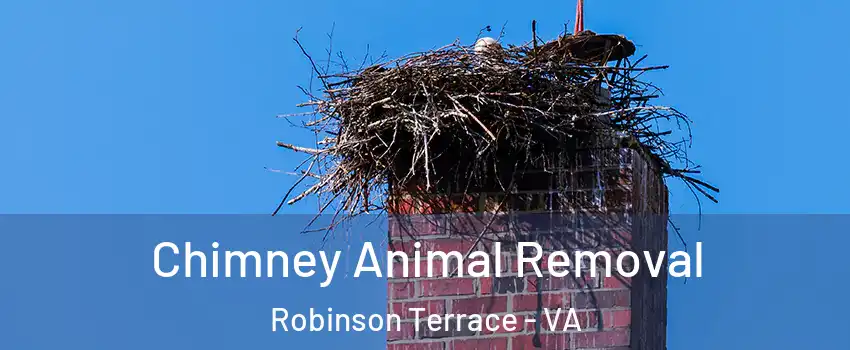 Chimney Animal Removal Robinson Terrace - VA