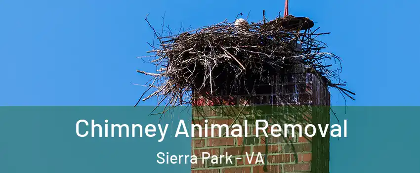 Chimney Animal Removal Sierra Park - VA