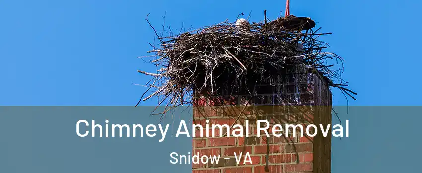 Chimney Animal Removal Snidow - VA