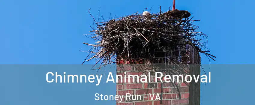 Chimney Animal Removal Stoney Run - VA