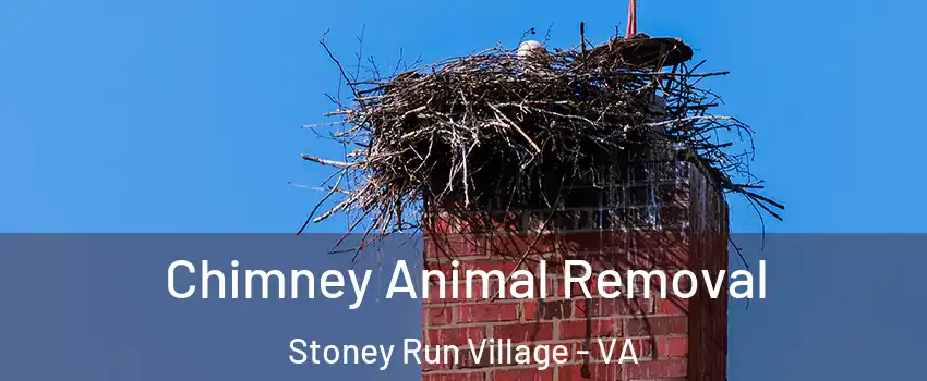 Chimney Animal Removal Stoney Run Village - VA