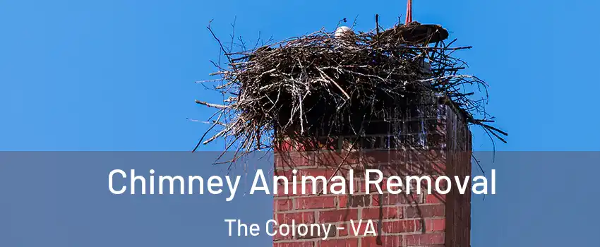 Chimney Animal Removal The Colony - VA