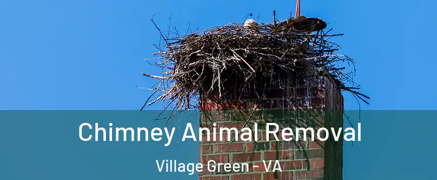 Chimney Animal Removal Village Green - VA