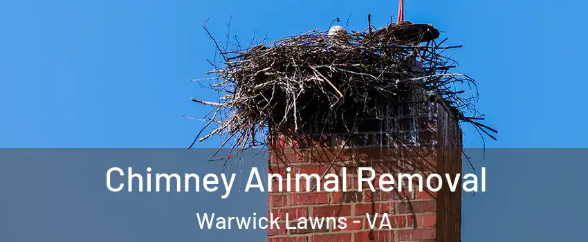 Chimney Animal Removal Warwick Lawns - VA