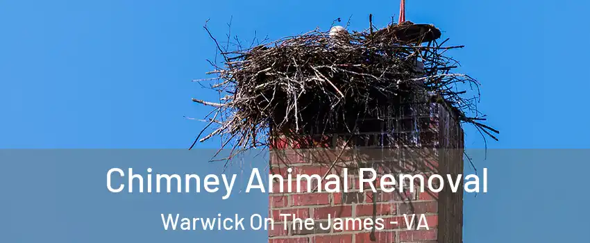 Chimney Animal Removal Warwick On The James - VA