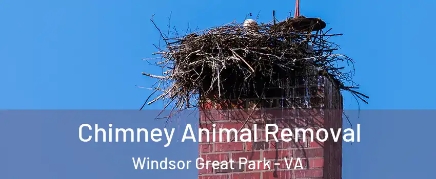 Chimney Animal Removal Windsor Great Park - VA