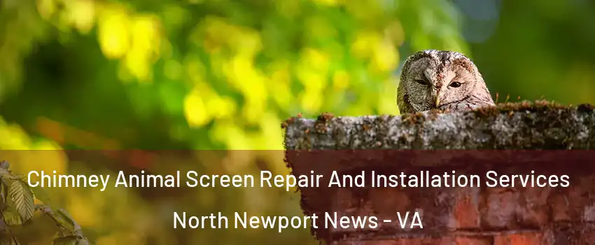 Chimney Animal Screen Repair And Installation Services North Newport News - VA