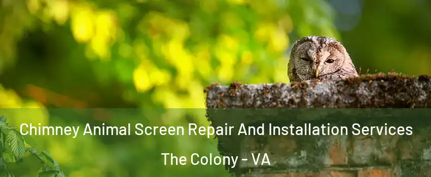 Chimney Animal Screen Repair And Installation Services The Colony - VA