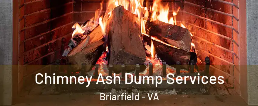 Chimney Ash Dump Services Briarfield - VA