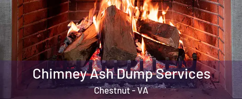 Chimney Ash Dump Services Chestnut - VA