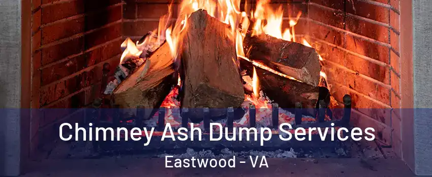 Chimney Ash Dump Services Eastwood - VA