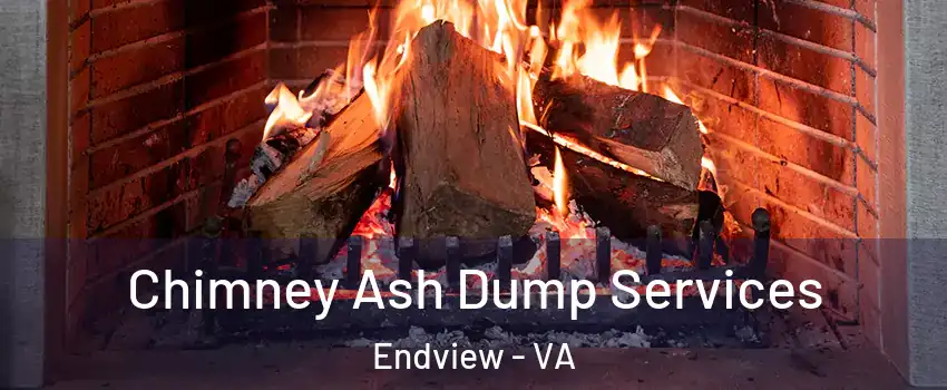 Chimney Ash Dump Services Endview - VA