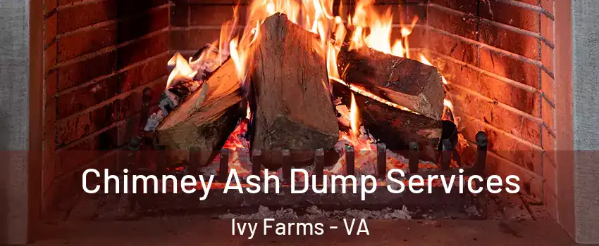 Chimney Ash Dump Services Ivy Farms - VA