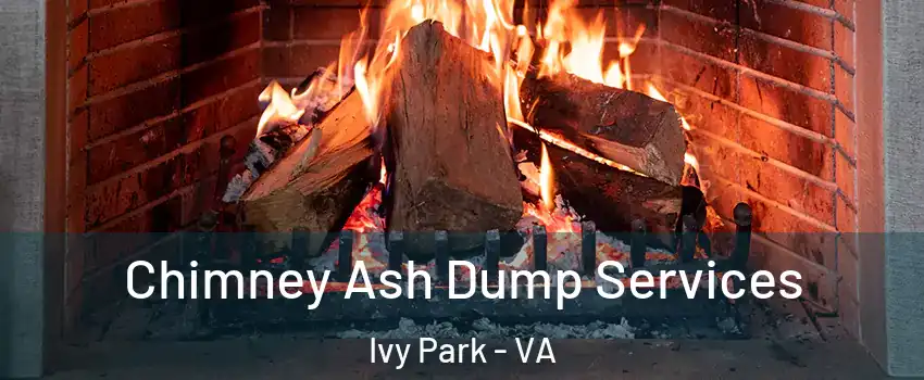 Chimney Ash Dump Services Ivy Park - VA