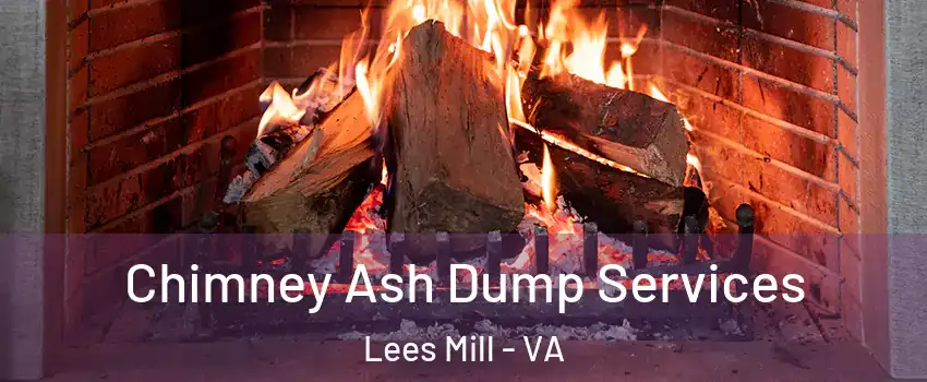 Chimney Ash Dump Services Lees Mill - VA