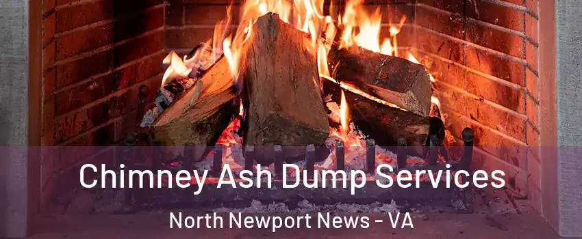 Chimney Ash Dump Services North Newport News - VA