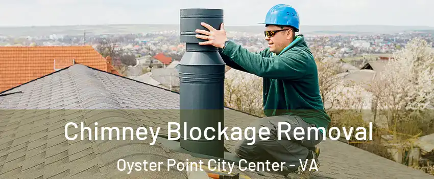 Chimney Blockage Removal Oyster Point City Center - VA