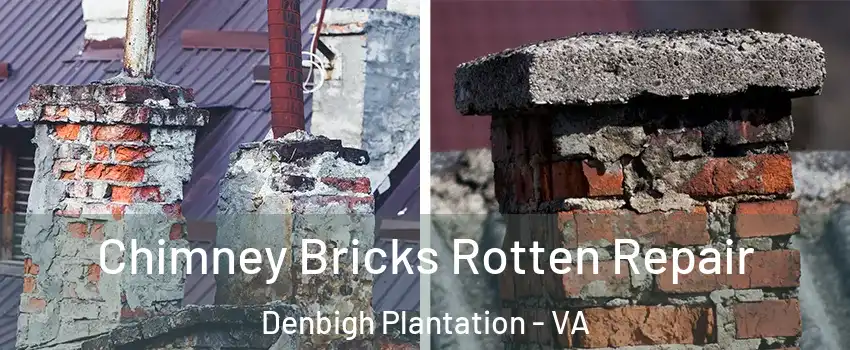 Chimney Bricks Rotten Repair Denbigh Plantation - VA