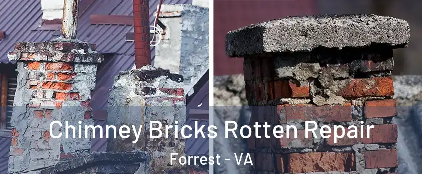 Chimney Bricks Rotten Repair Forrest - VA