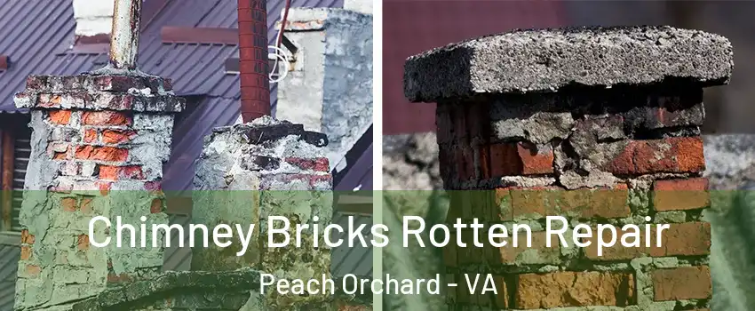 Chimney Bricks Rotten Repair Peach Orchard - VA