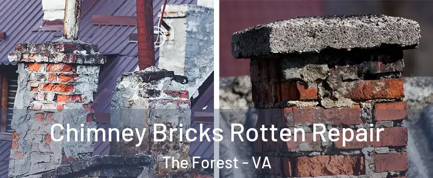 Chimney Bricks Rotten Repair The Forest - VA