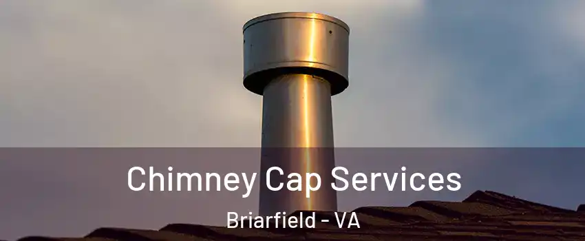 Chimney Cap Services Briarfield - VA