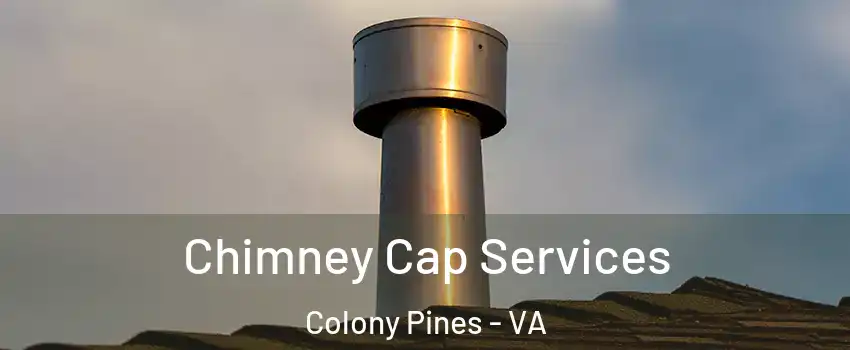 Chimney Cap Services Colony Pines - VA