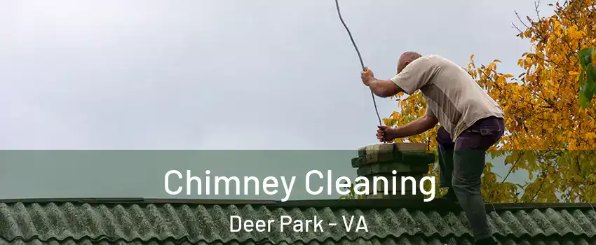 Chimney Cleaning Deer Park - VA