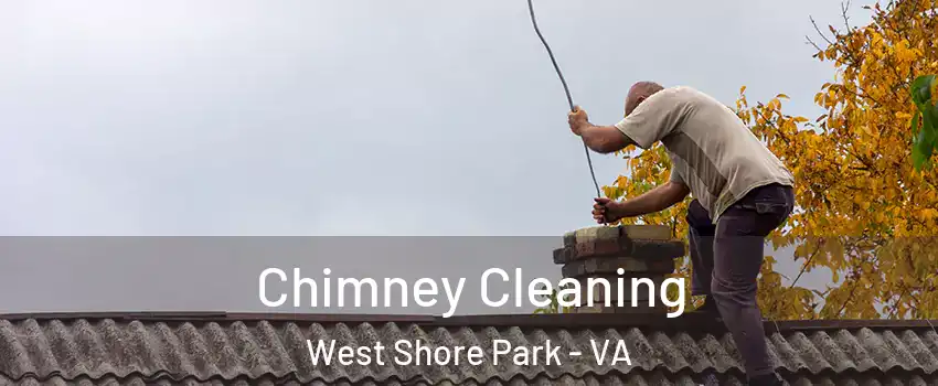 Chimney Cleaning West Shore Park - VA