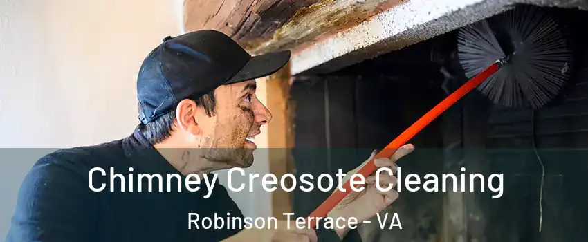 Chimney Creosote Cleaning Robinson Terrace - VA