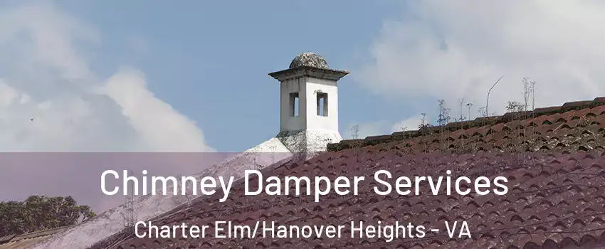 Chimney Damper Services Charter Elm/Hanover Heights - VA